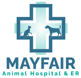 Mayfair Animal Hospital & ER